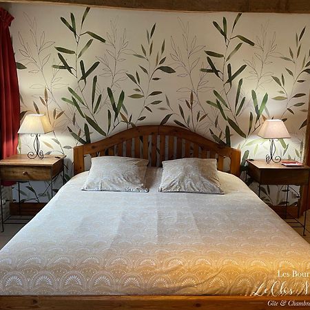 Chambres D'Hotes Les Bournais - Le Clos Milady L'Ile-Bouchard Esterno foto