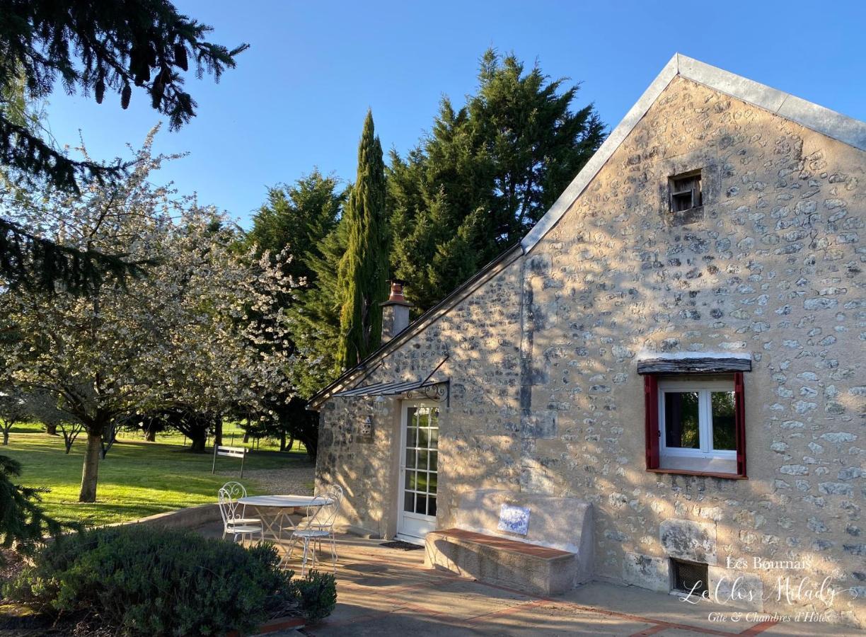 Chambres D'Hotes Les Bournais - Le Clos Milady L'Ile-Bouchard Esterno foto