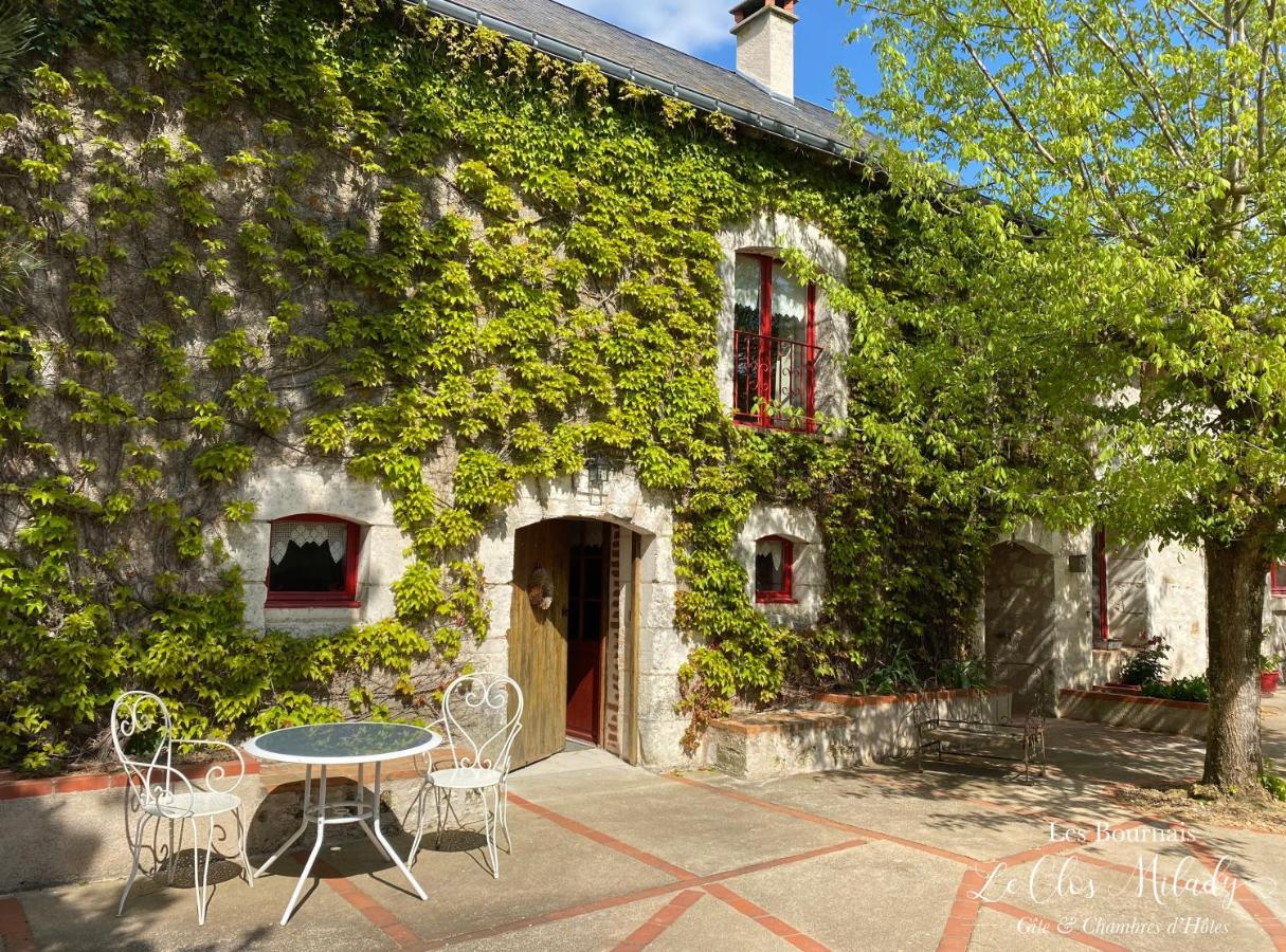 Chambres D'Hotes Les Bournais - Le Clos Milady L'Ile-Bouchard Esterno foto