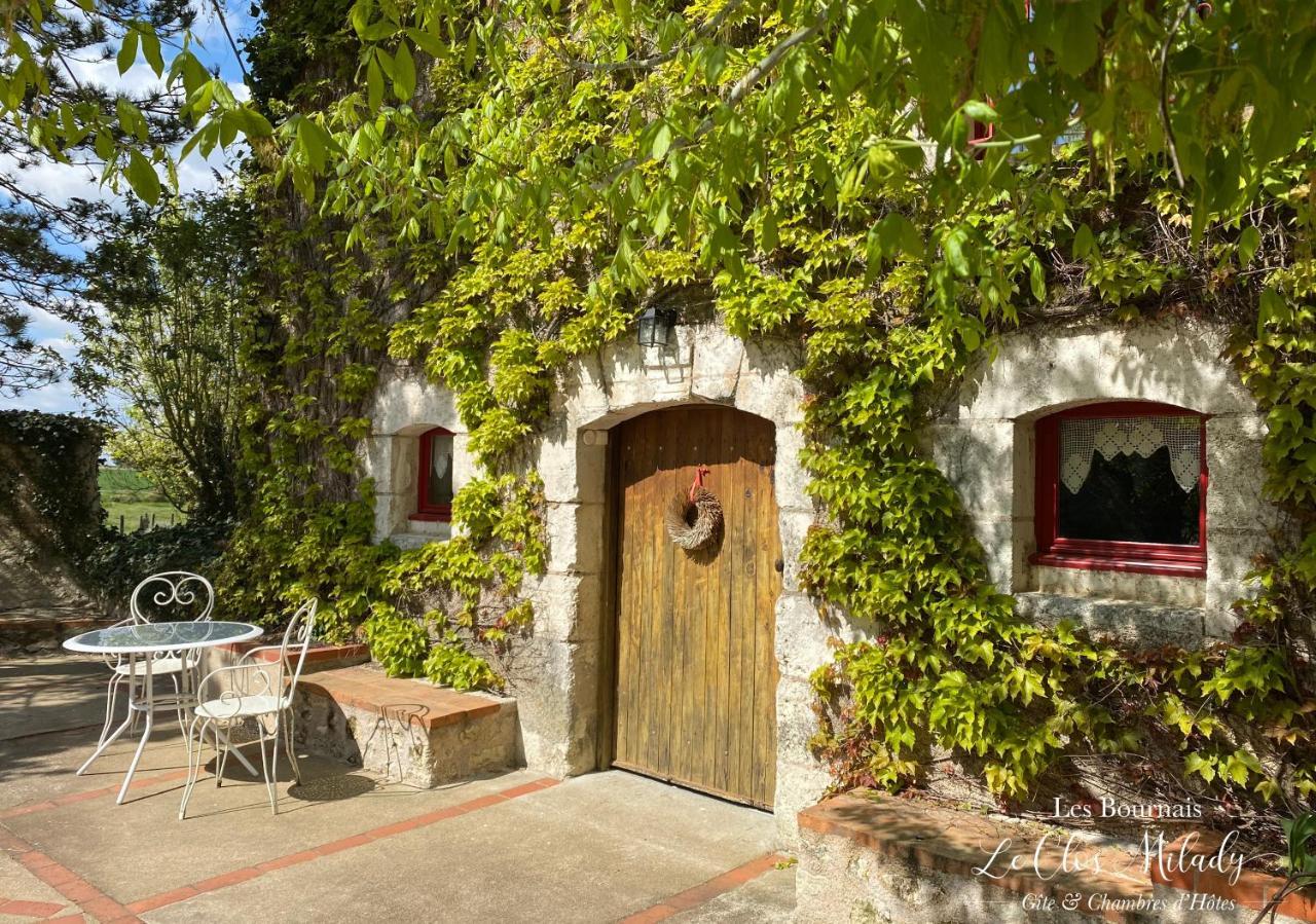 Chambres D'Hotes Les Bournais - Le Clos Milady L'Ile-Bouchard Esterno foto