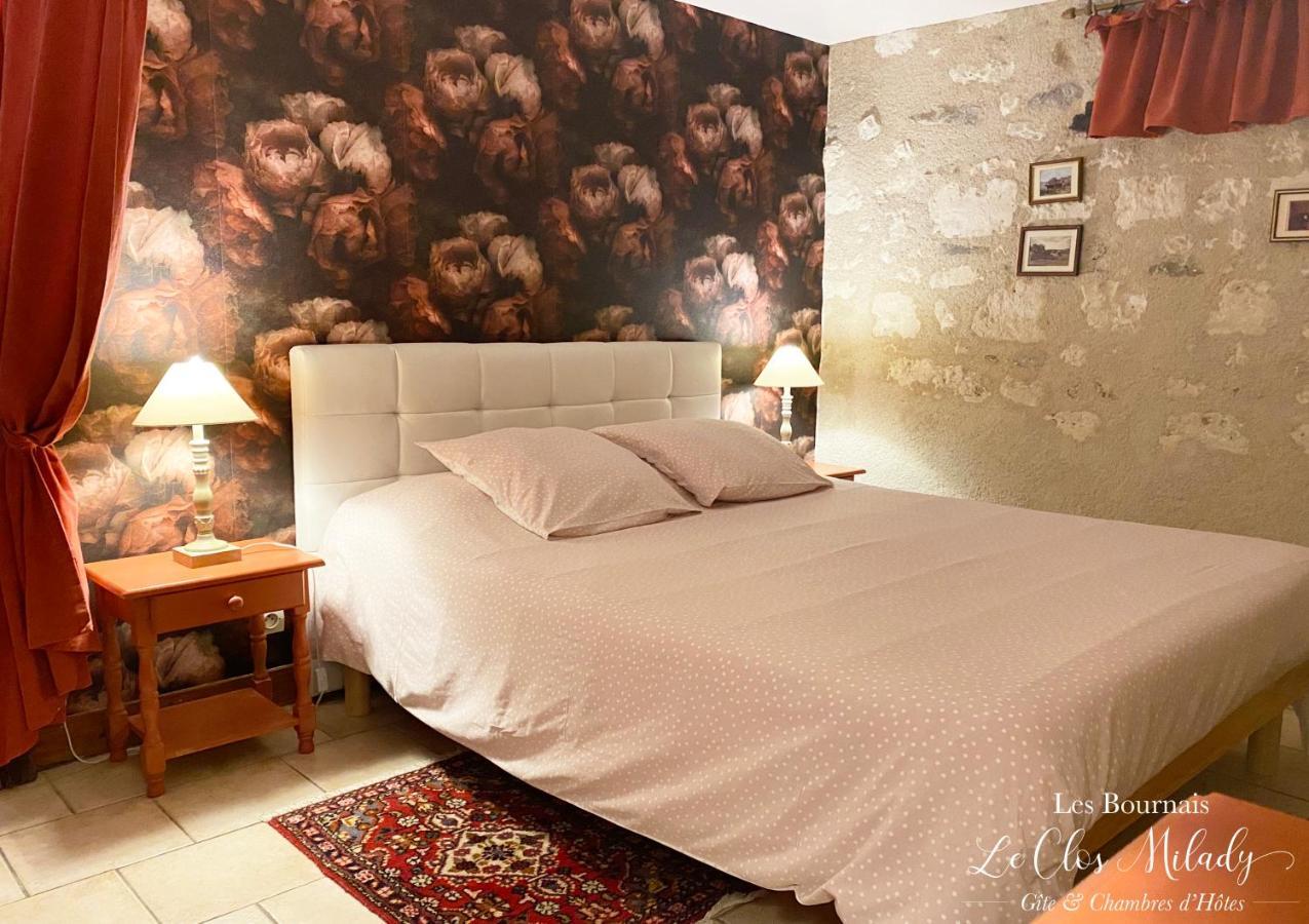 Chambres D'Hotes Les Bournais - Le Clos Milady L'Ile-Bouchard Esterno foto