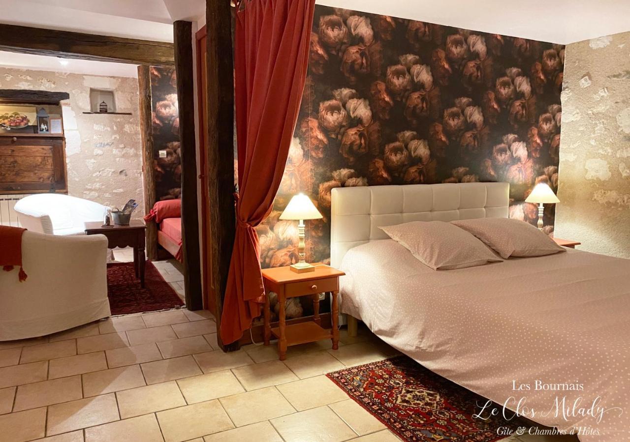 Chambres D'Hotes Les Bournais - Le Clos Milady L'Ile-Bouchard Esterno foto