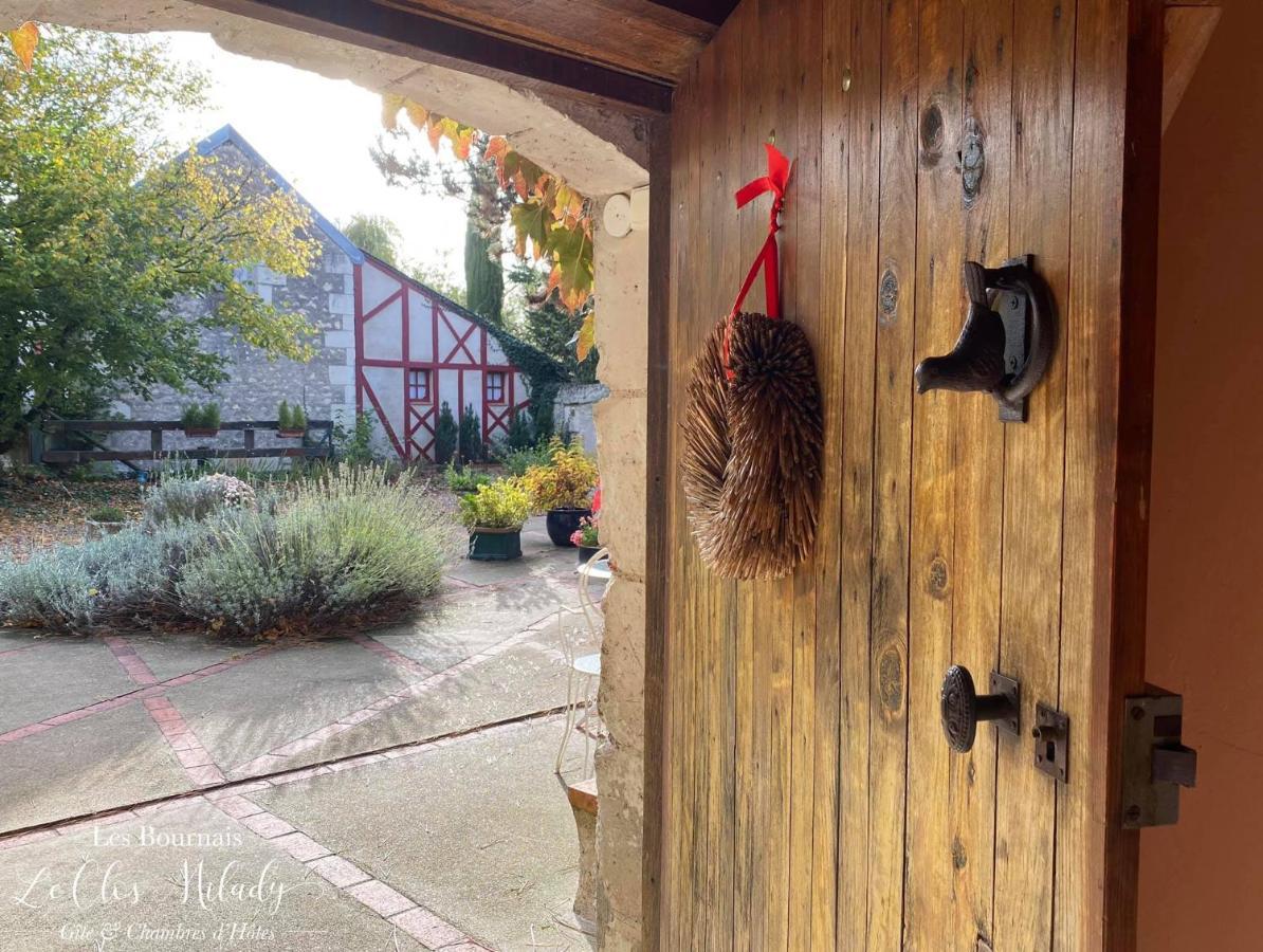Chambres D'Hotes Les Bournais - Le Clos Milady L'Ile-Bouchard Esterno foto