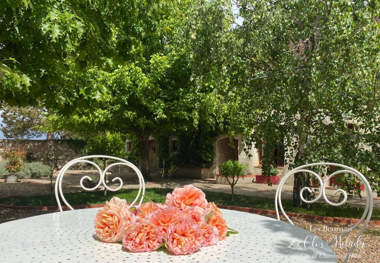 Chambres D'Hotes Les Bournais - Le Clos Milady L'Ile-Bouchard Esterno foto