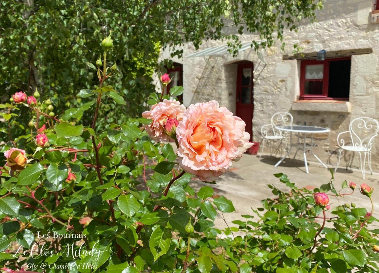Chambres D'Hotes Les Bournais - Le Clos Milady L'Ile-Bouchard Esterno foto