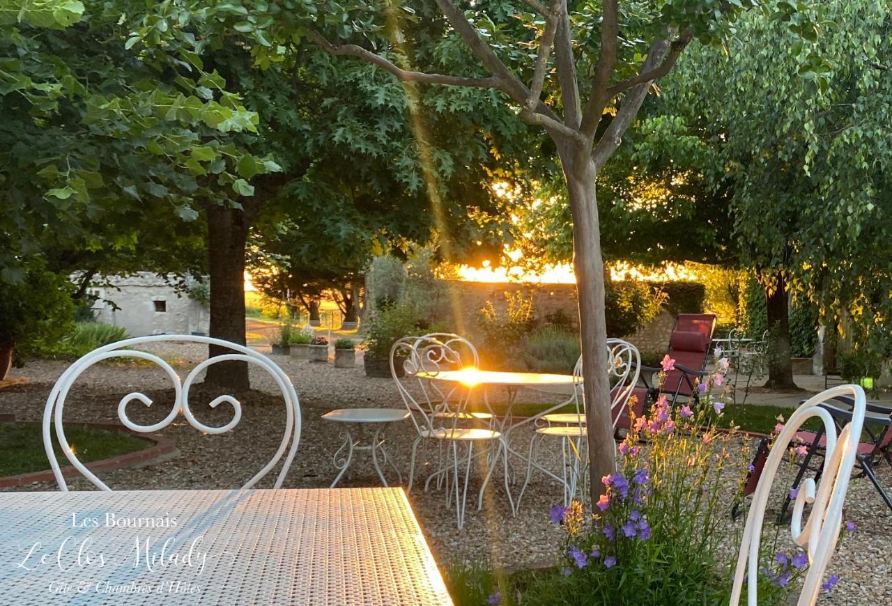 Chambres D'Hotes Les Bournais - Le Clos Milady L'Ile-Bouchard Esterno foto