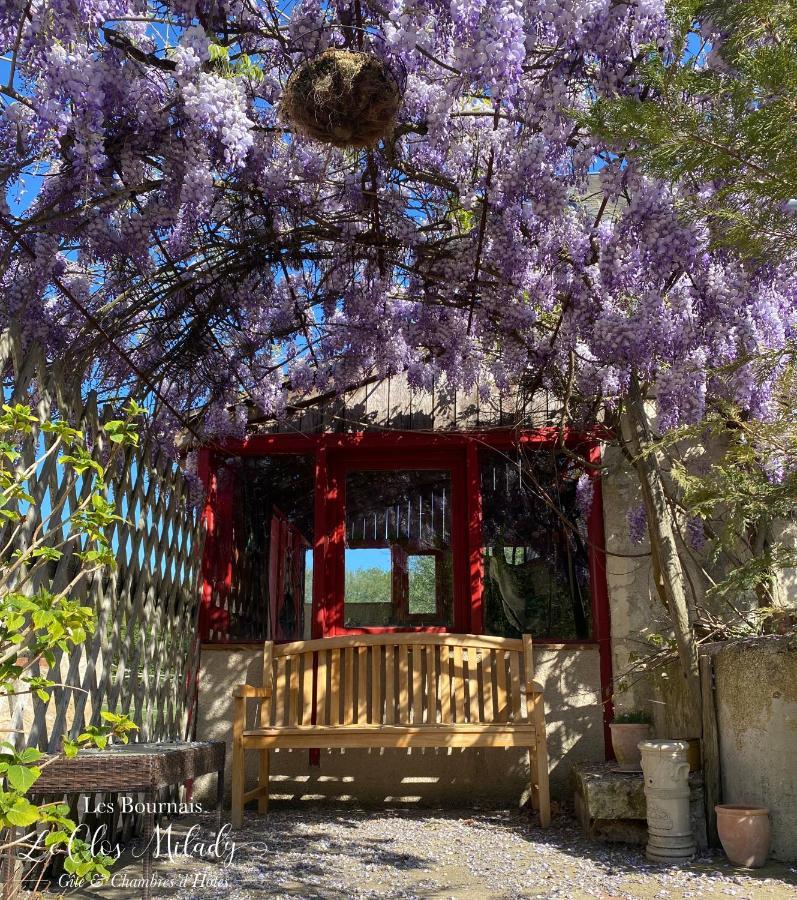 Chambres D'Hotes Les Bournais - Le Clos Milady L'Ile-Bouchard Esterno foto