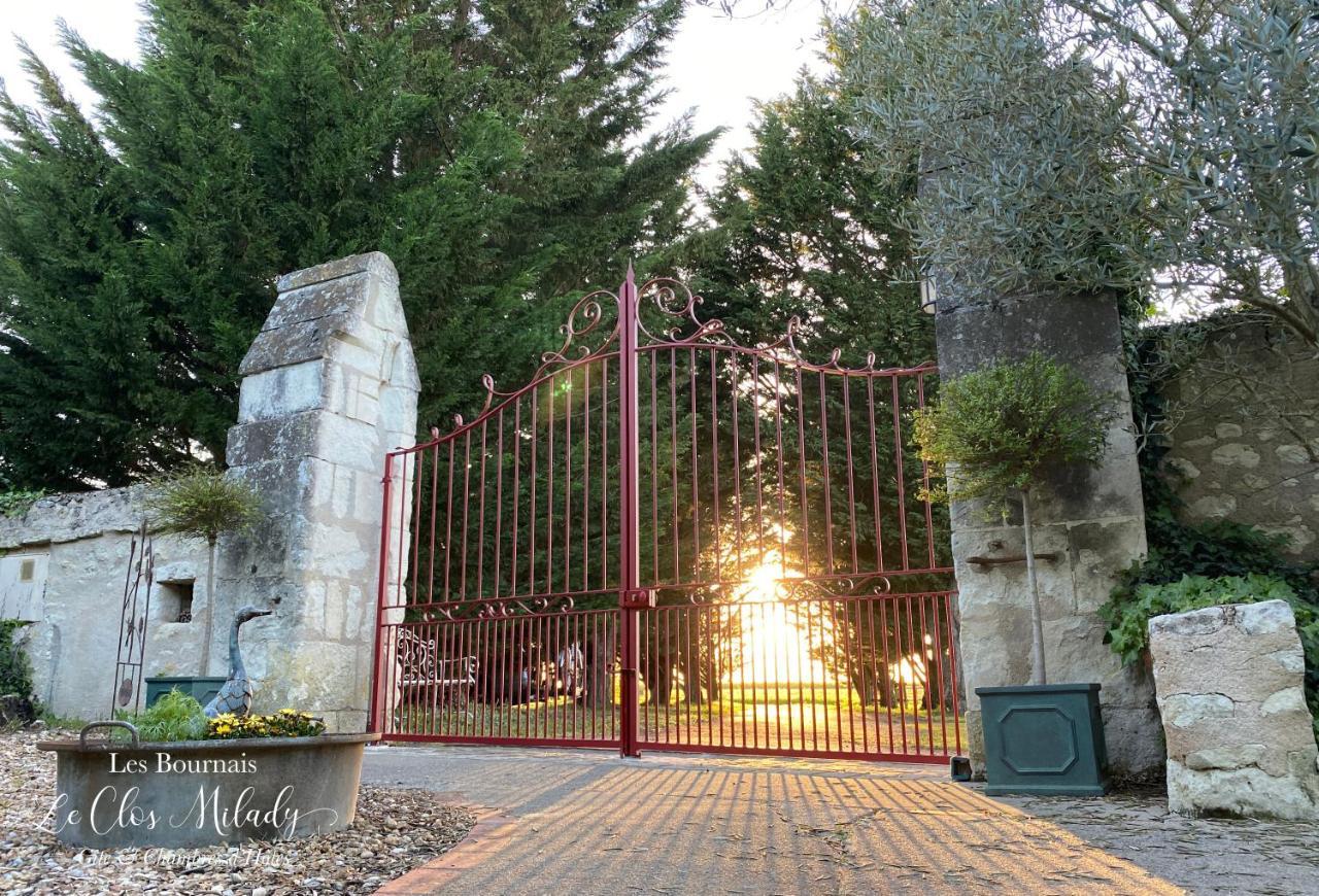 Chambres D'Hotes Les Bournais - Le Clos Milady L'Ile-Bouchard Esterno foto