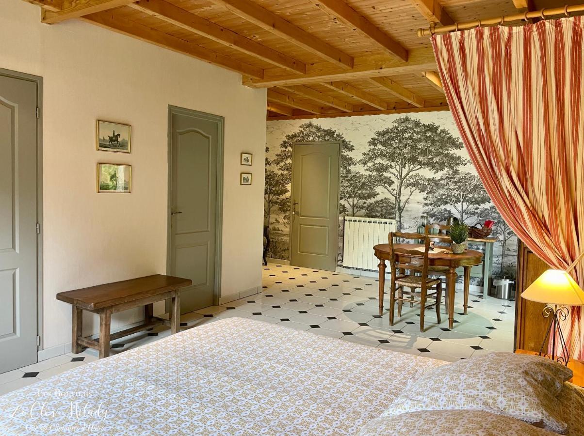 Chambres D'Hotes Les Bournais - Le Clos Milady L'Ile-Bouchard Esterno foto
