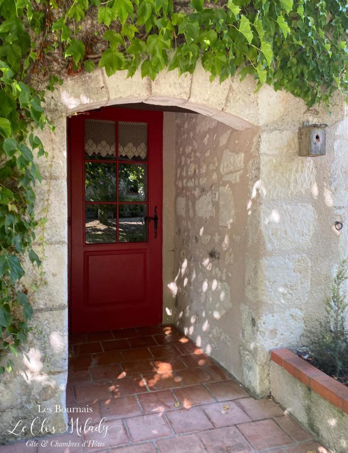 Chambres D'Hotes Les Bournais - Le Clos Milady L'Ile-Bouchard Esterno foto