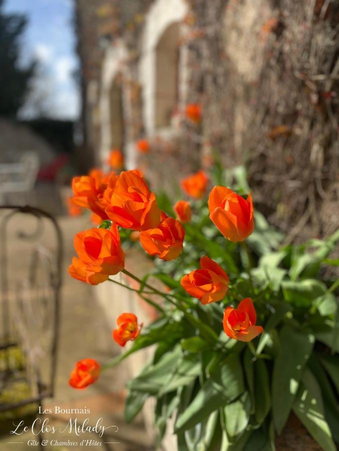 Chambres D'Hotes Les Bournais - Le Clos Milady L'Ile-Bouchard Esterno foto