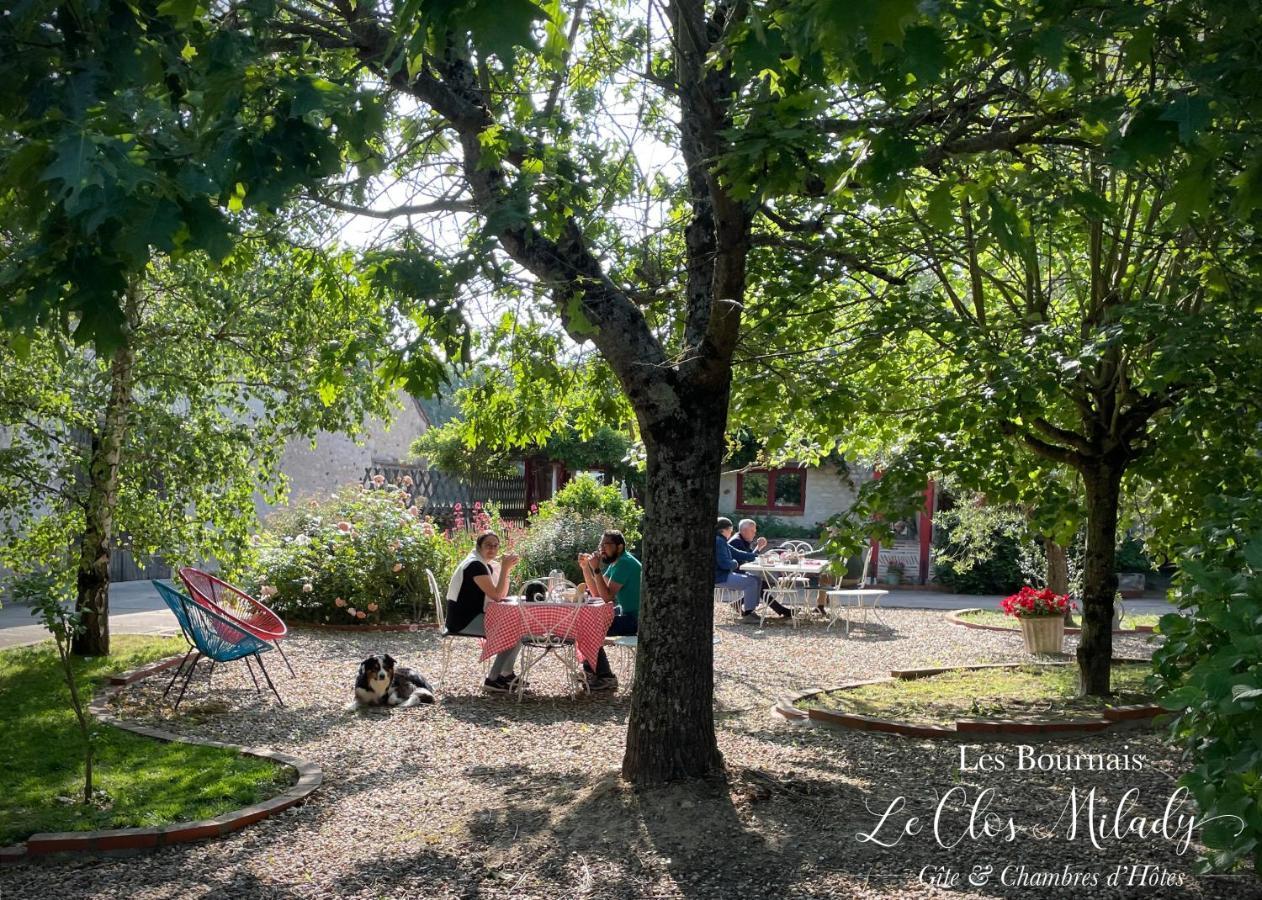 Chambres D'Hotes Les Bournais - Le Clos Milady L'Ile-Bouchard Esterno foto