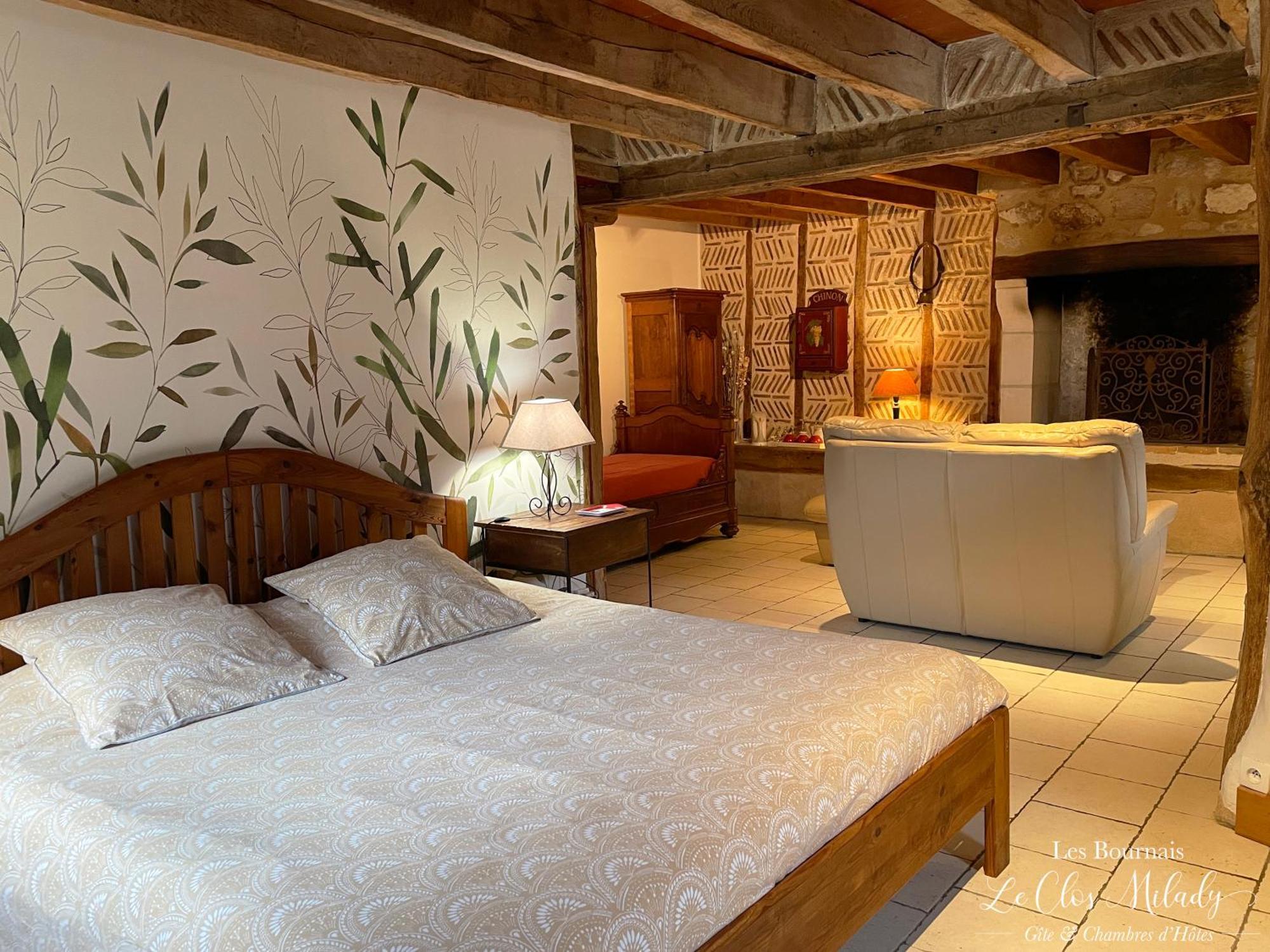 Chambres D'Hotes Les Bournais - Le Clos Milady L'Ile-Bouchard Esterno foto