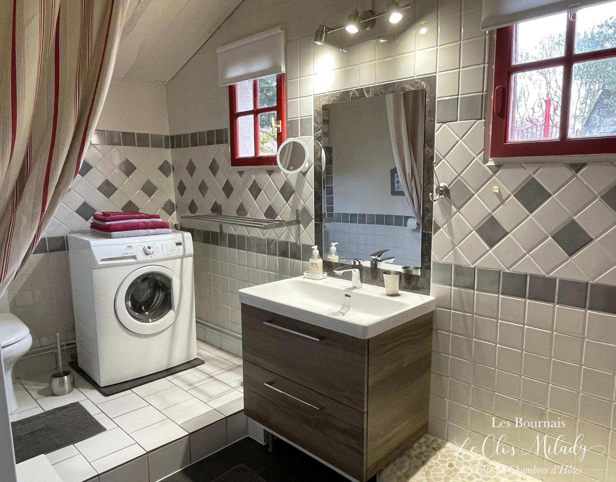 Chambres D'Hotes Les Bournais - Le Clos Milady L'Ile-Bouchard Esterno foto